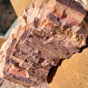 7lbs 69oz Az rainbow chunk Agatized petrified wood